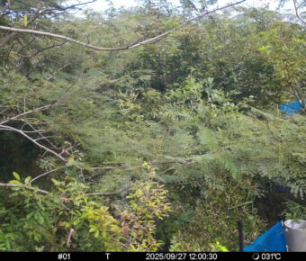 Sep 27 2025 12:00:30, #01