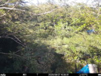 Sep 27 2025 15:00:31, #01