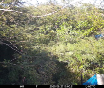Sep 27 2025 15:00:31, #01