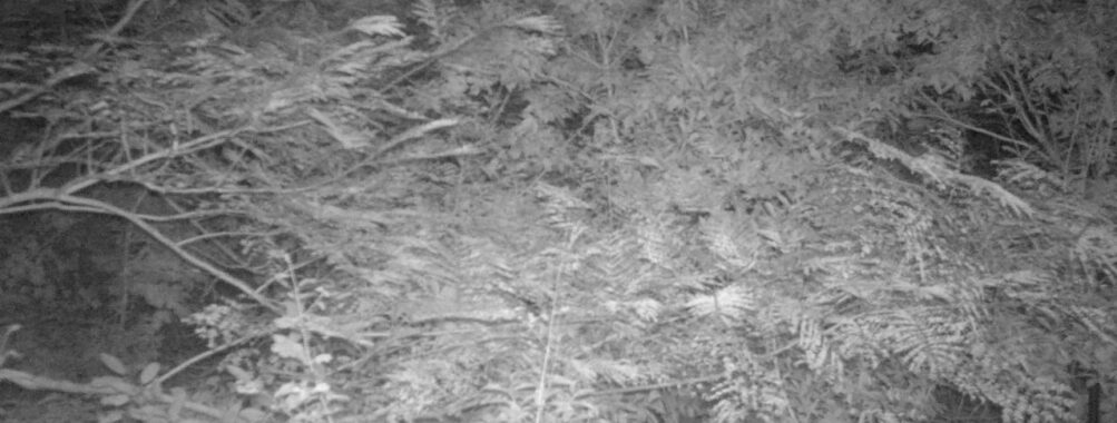 Sep 27 2025 21:00:32, #01