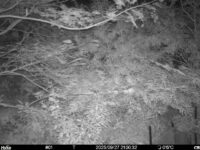 Sep 27 2025 21:00:32, #01