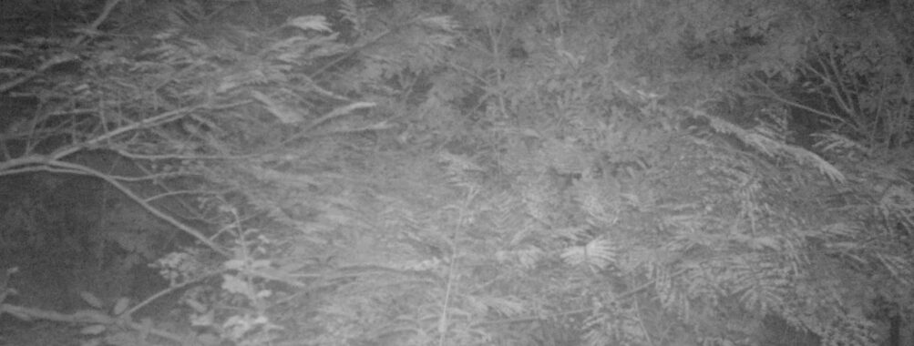 Sep 28 2025  0:00:31, #01