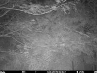 Sep 28 2025  0:00:31, #01