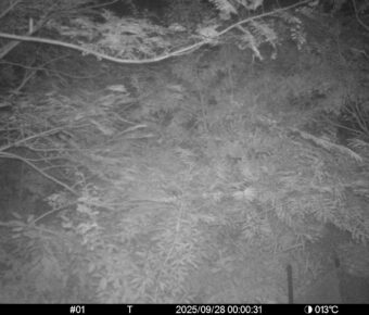 Sep 28 2025  0:00:31, #01