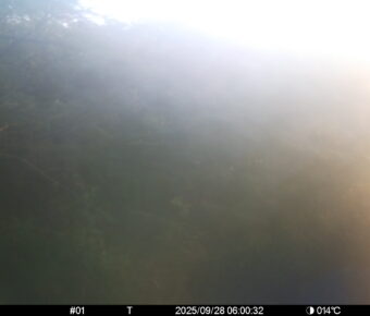 Sep 28 2025  6:00:32, #01