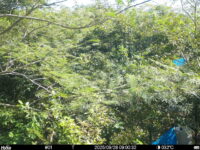 Sep 28 2025  9:00:32, #01