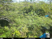 Sep 28 2025 12:00:31, #01