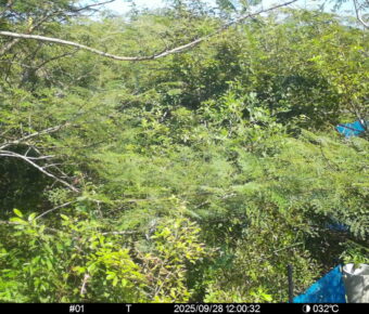 Sep 28 2025 12:00:31, #01