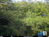 Sep 28 2025 15:00:31, #01