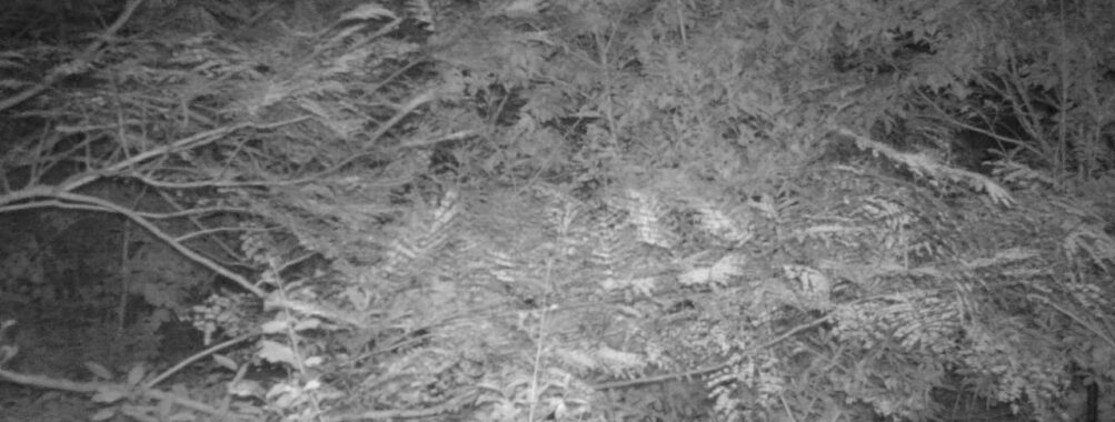 Sep 28 2025 18:00:31, #01
