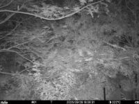 Sep 28 2025 18:00:31, #01