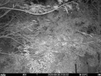 Sep 28 2025 21:00:32, #01