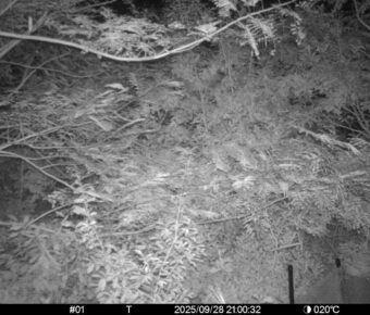 Sep 28 2025 21:00:32, #01