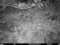 Sep 29 2025  0:00:31, #01