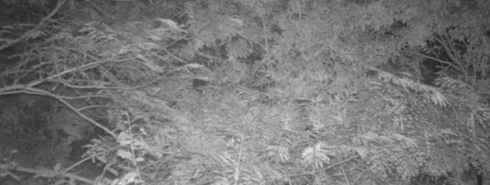 Sep 29 2025  3:00:31, #01