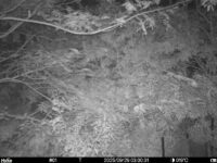 Sep 29 2025  3:00:31, #01