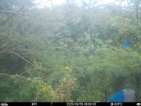 Sep 29 2025  6:00:32, #01