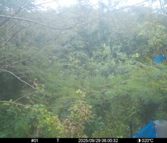 Sep 29 2025  6:00:32, #01