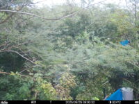 Sep 29 2025  9:00:32, #01