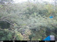 Sep 29 2025 12:00:30, #01