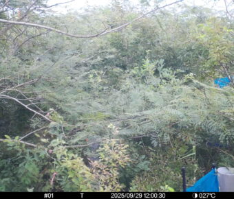Sep 29 2025 12:00:30, #01