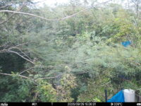 Sep 29 2025 15:00:31, #01