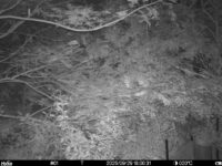 Sep 29 2025 18:00:31, #01