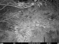 Sep 29 2025 21:00:32, #01