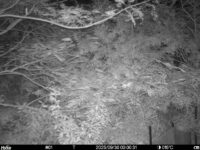 Sep 30 2025  0:00:31, #01