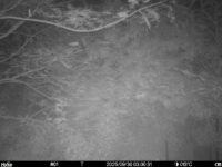 Sep 30 2025  3:00:31, #01