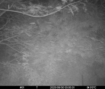 Sep 30 2025  3:00:31, #01
