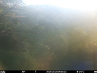 Sep 30 2025  6:00:32, #01