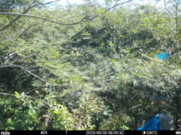 Sep 30 2025  9:00:32, #01