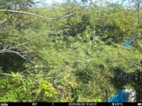 Sep 30 2025 12:00:31, #01