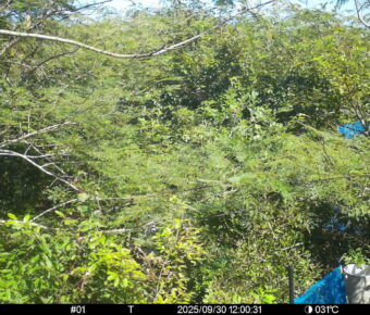 Sep 30 2025 12:00:31, #01