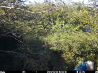 Sep 30 2025 15:00:31, #01