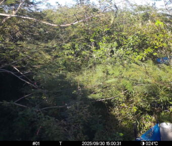 Sep 30 2025 15:00:31, #01