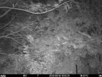 Sep 30 2025 18:00:31, #01