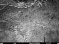 Oct 1 2025  0:00:31, #01