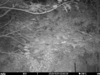 Oct 1 2025  3:00:31, #01