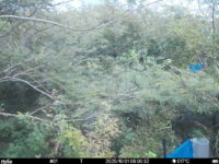 Oct 1 2025  6:00:32, #01