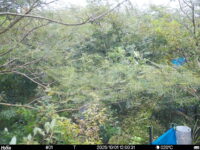 Oct 1 2025 12:00:31, #01