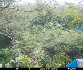 Oct 1 2025 12:00:31, #01