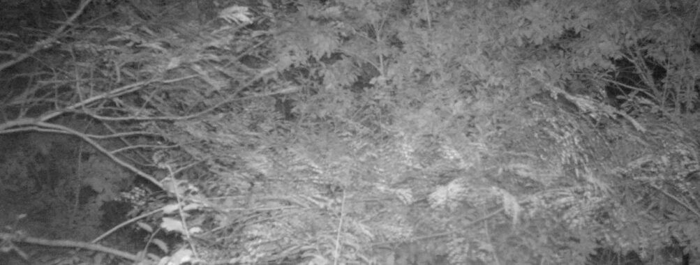 Oct 1 2025 18:00:31, #01