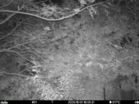 Oct 1 2025 18:00:31, #01