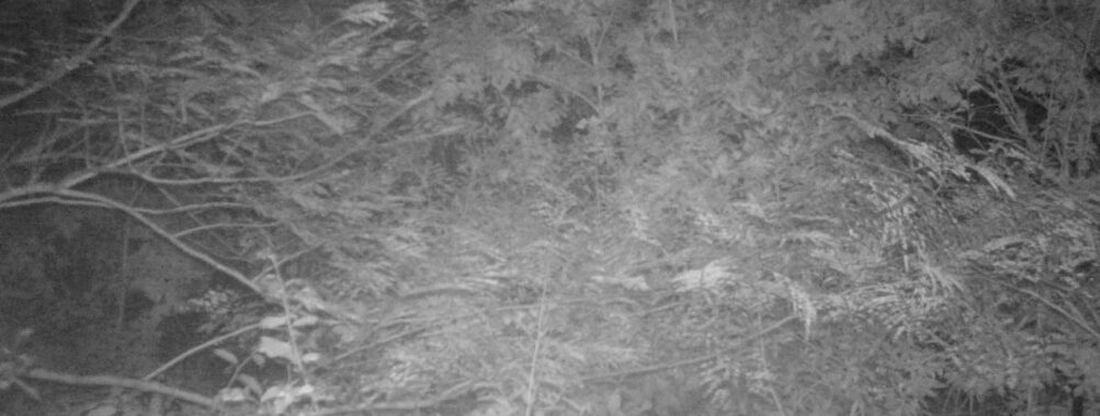 Oct 1 2025 21:00:31, #01