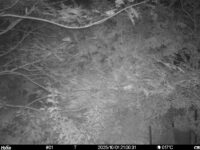 Oct 1 2025 21:00:31, #01