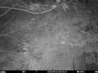 Oct 2 2025  0:00:31, #01