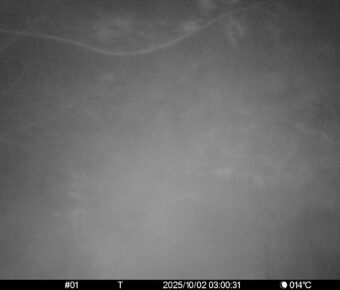 Oct 2 2025  3:00:31, #01