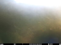 Oct 2 2025  6:00:32, #01